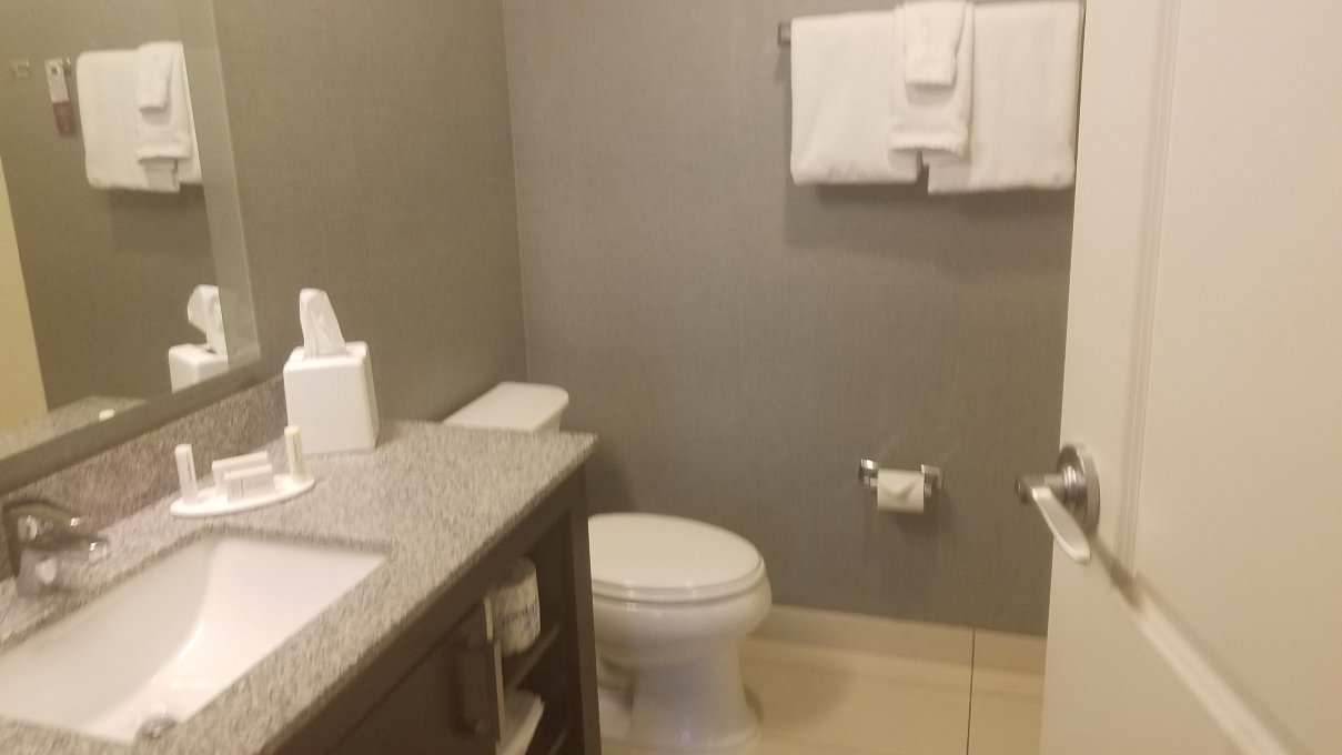 Residence Inn Chicago Wilmette/Skokie-浴室