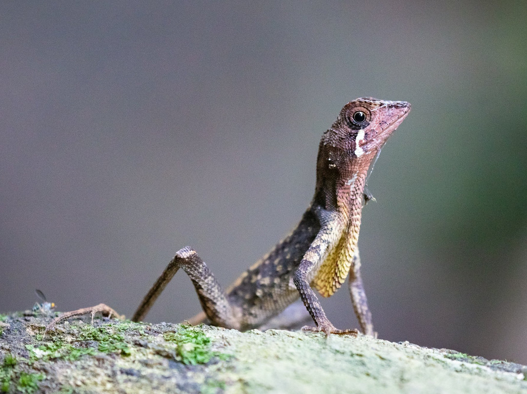 Vinisha Tours-卡图纳耶克必去景点