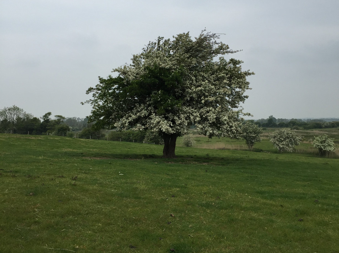 Experience Sussex主图