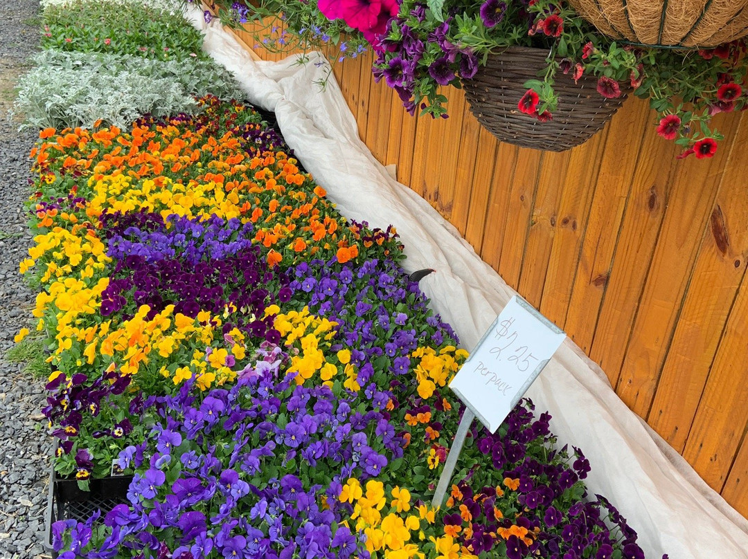 Mowery Orchard Farm Market景点图片