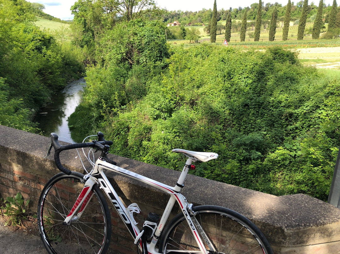 On The Tuscan Bike景点图片