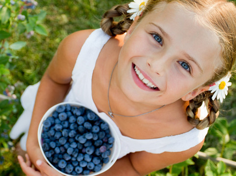 Blue Berrie Hill-Broekhuizen必去景点