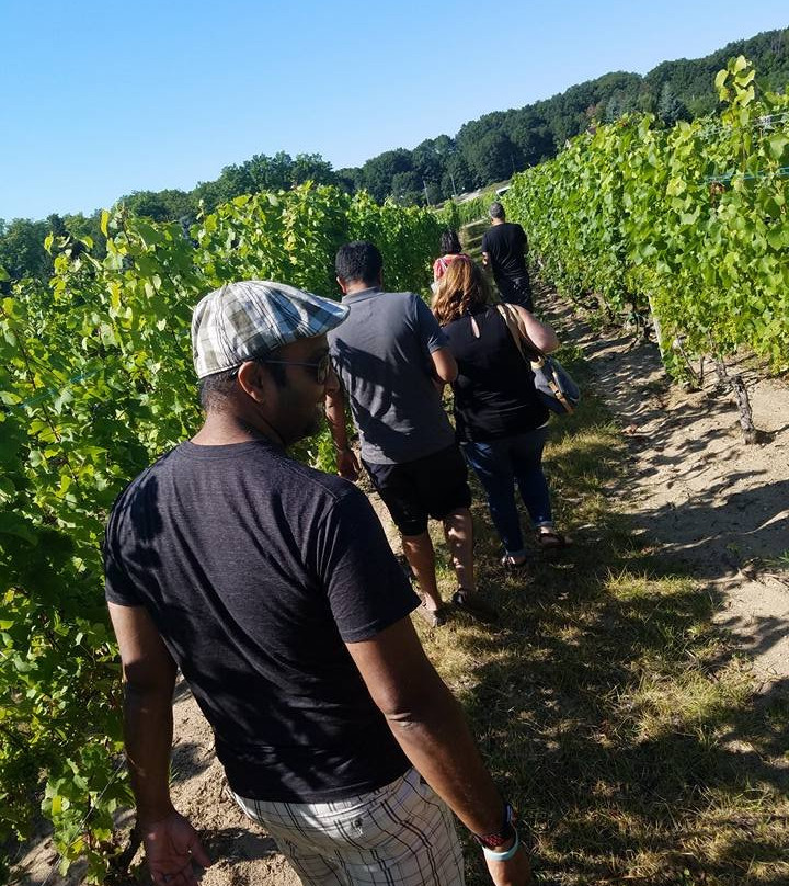 Bowers Harbor Vineyards-特拉弗斯城必去景点