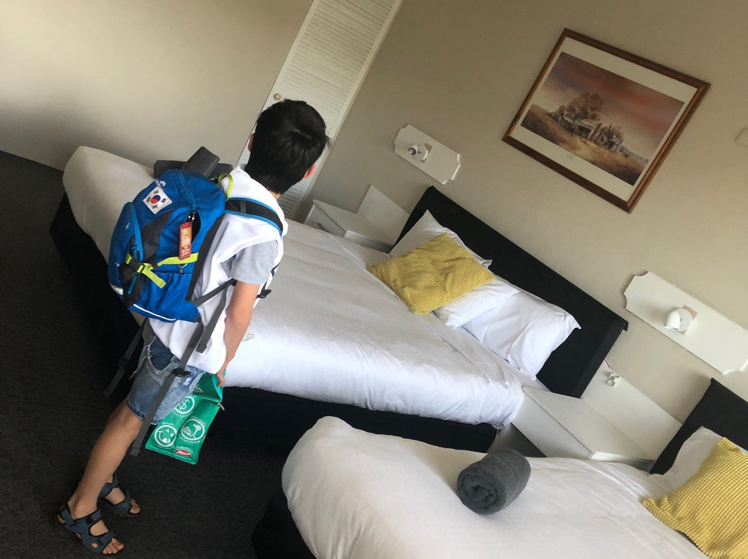 Motel Wellington主图