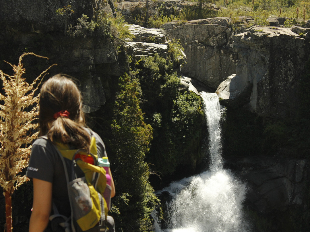 Andes Maule Travel-Linares必去景点