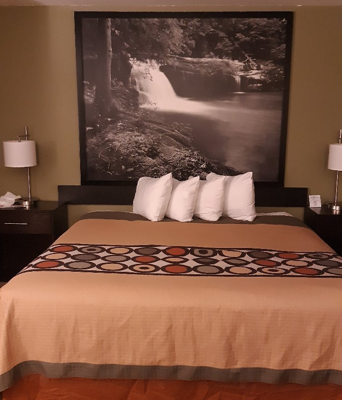 Super 8 by Wyndham Homewood Birmingham Area主图