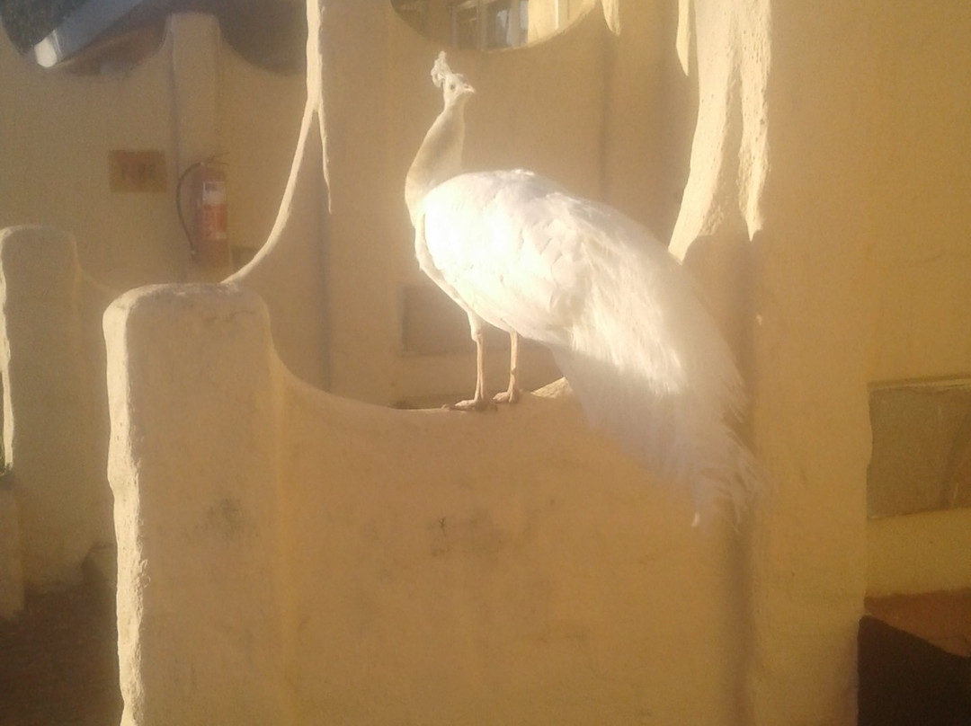 Kadoma Hotel and Conference Center主图