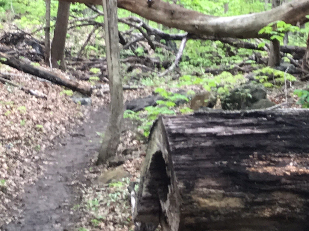 Arden Point State Park景点图片
