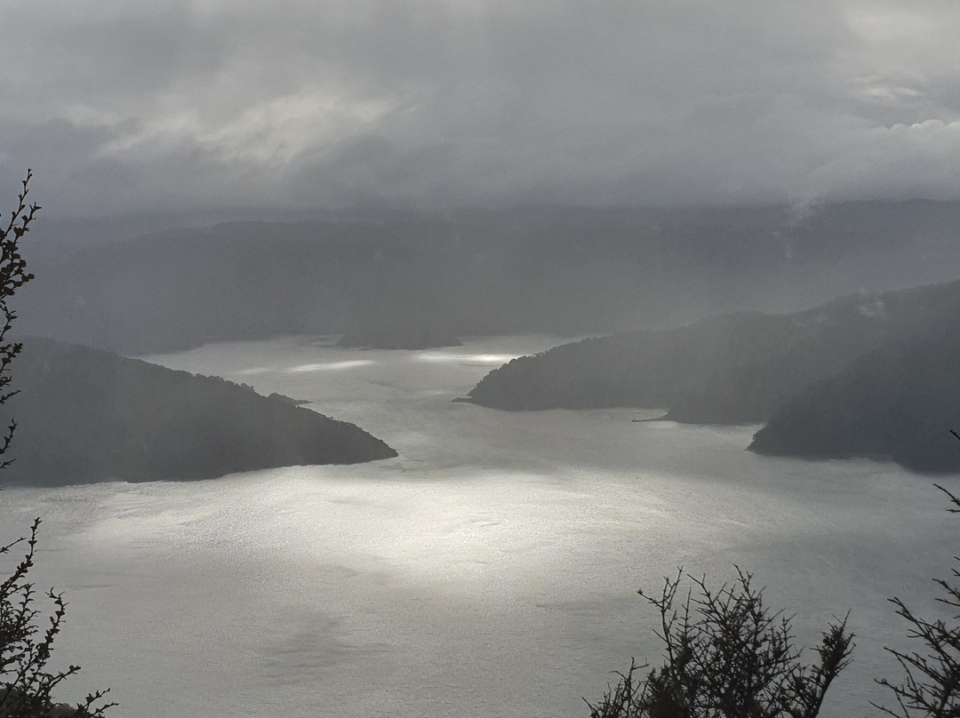 Lake Waikaremoana Great Walk景点图片