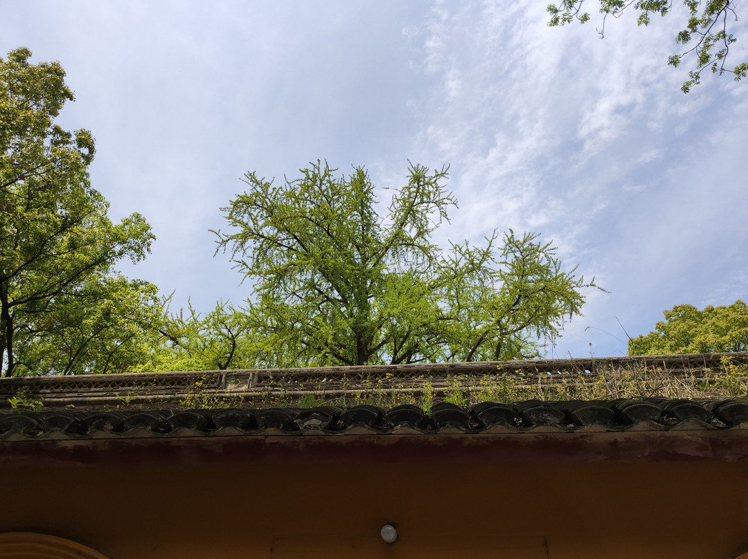 阿育王寺-宁波市必去景点