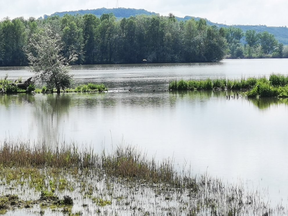 Oasi WWF Lago di Alviano景点图片