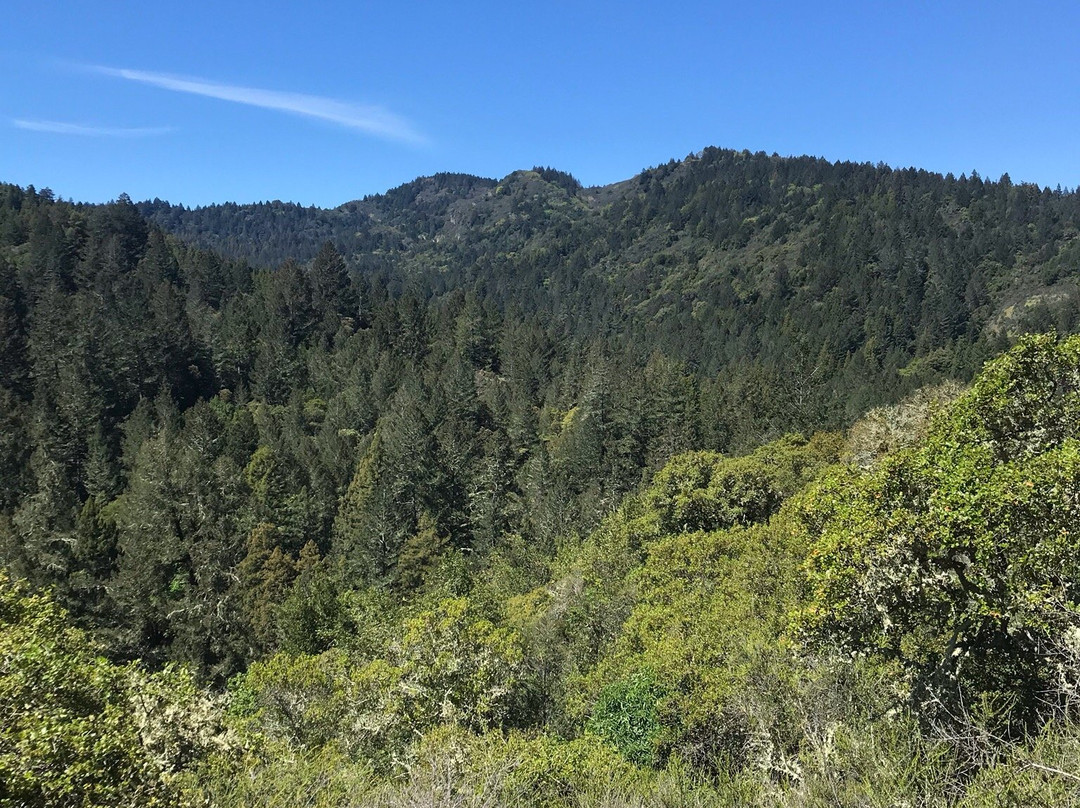 Bothe-Napa State Park景点图片