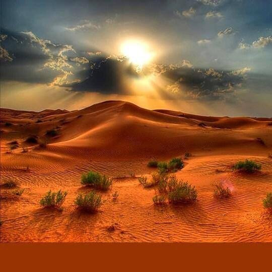 Tour Safaris-Kisii必去景点