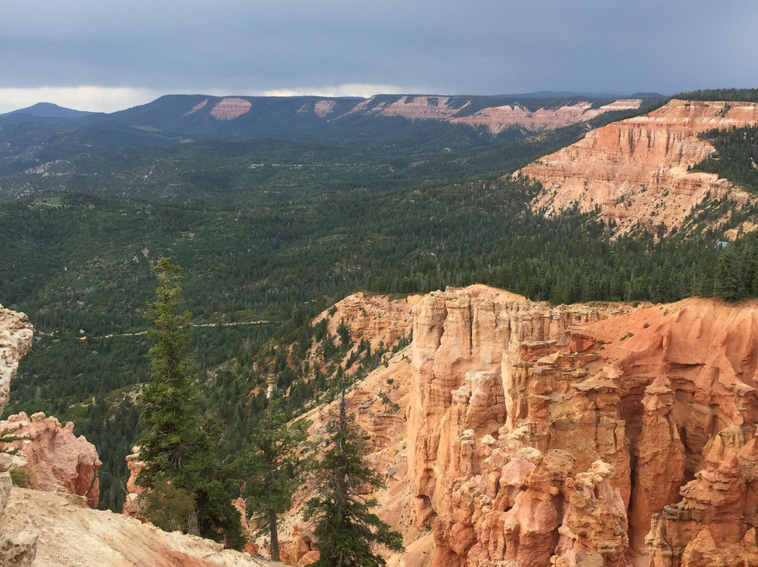 Strawberry Point-Duck Creek Village必去景点