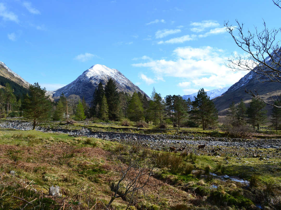 Buachaille Etive Mor景点图片