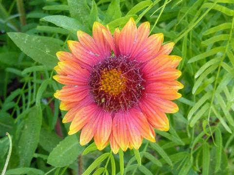 Medina River Natural Area-圣安东尼奥市必去景点