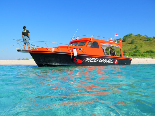 Red Whale Dive Center & Tours-Labuan Bajo必去景点