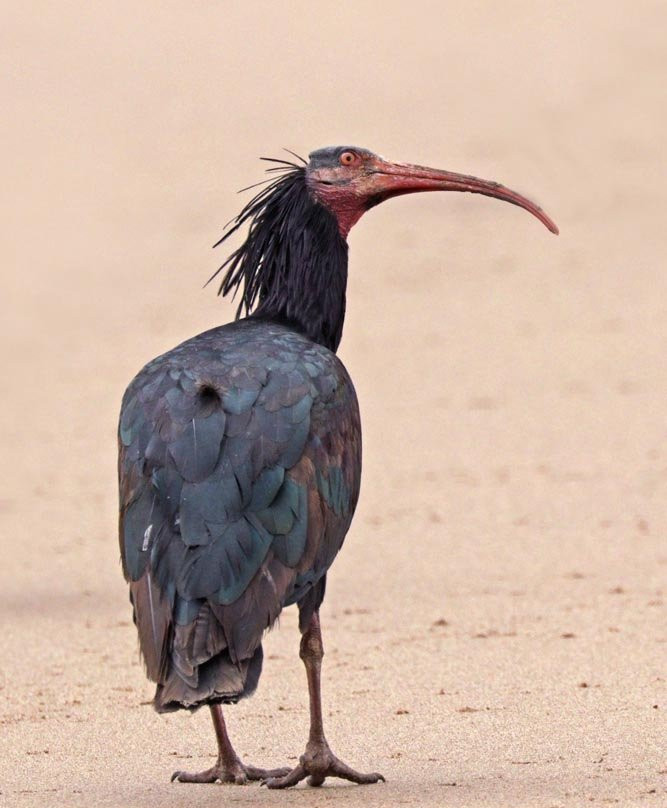 Guide Lahcen-Sidi R'bat必去景点