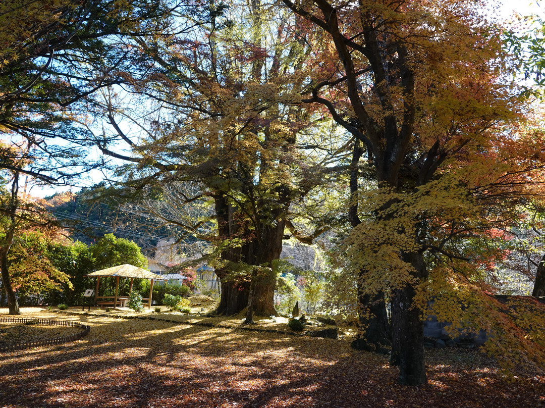 Horyu-ji Temple-大子町必去景点