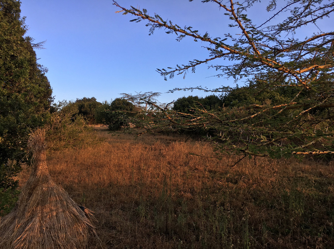 Sandai Farm Gästehaus & Ferienhäuser主图