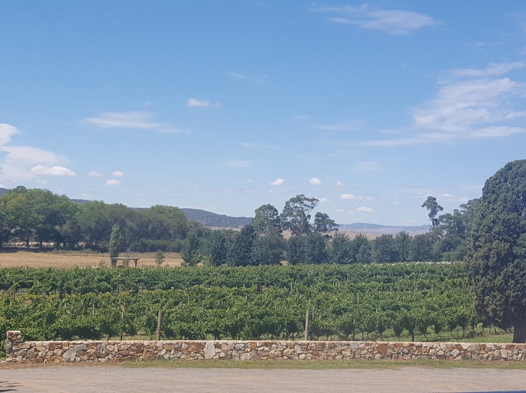 Lake George Winery-Collector必去景点