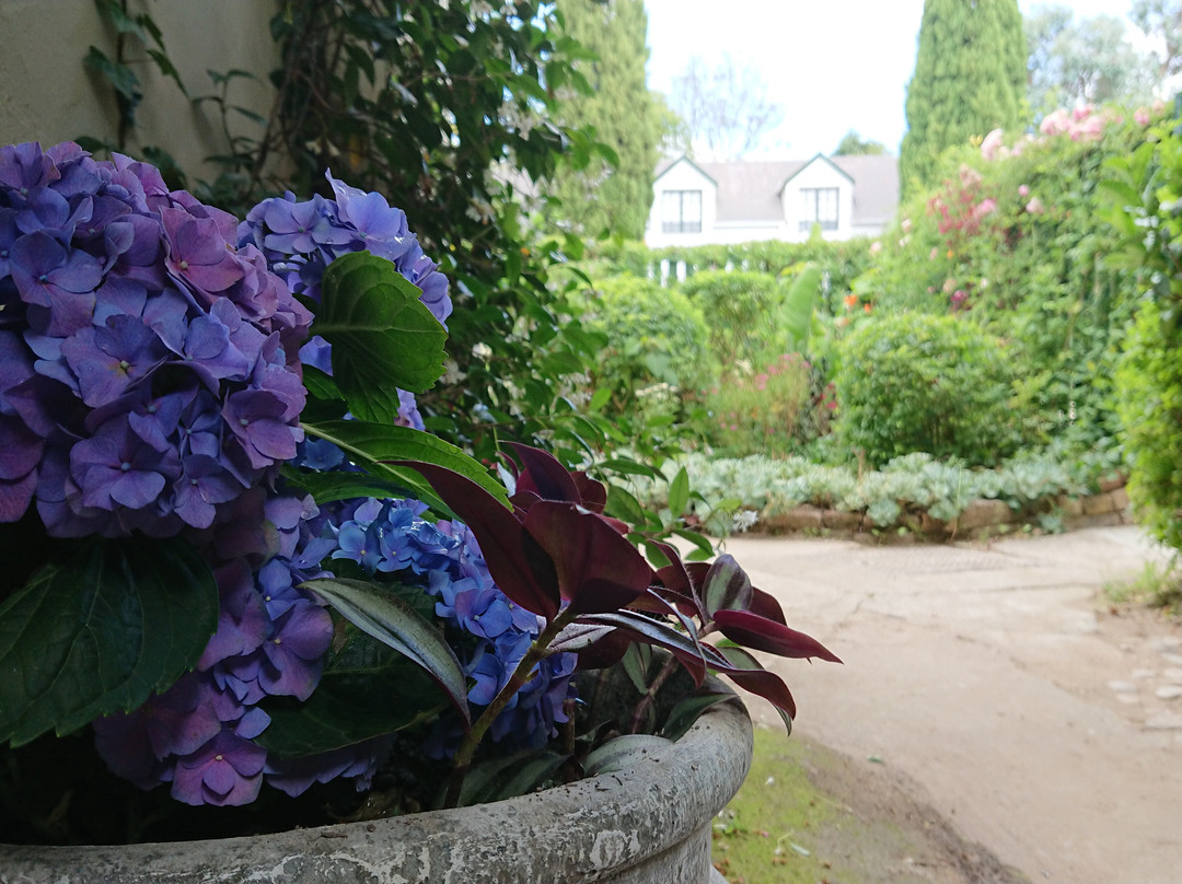 47 Berg Street主图