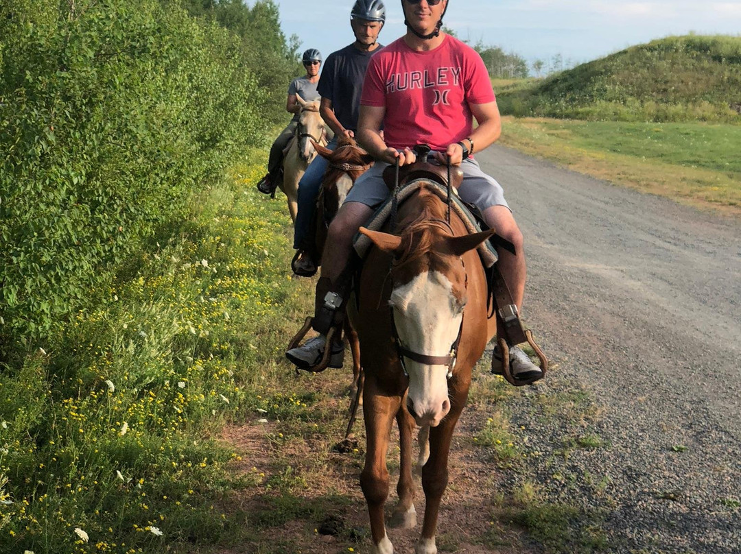 Shelby Ranch-Scotsburn必去景点
