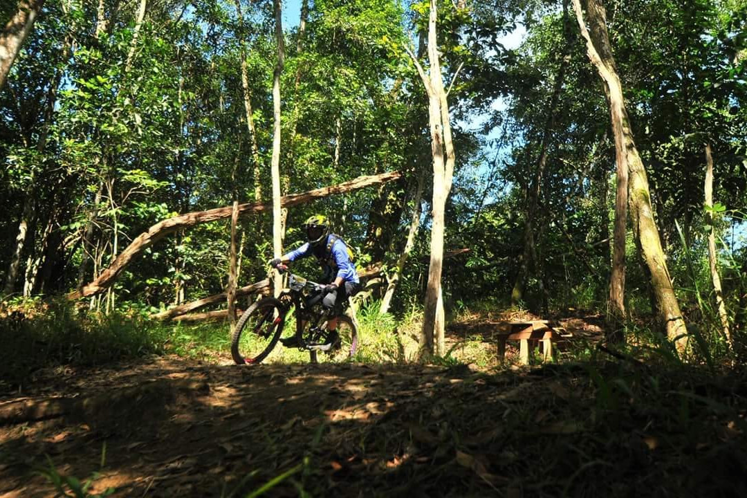 Kingdom Rides + Adventures景点图片