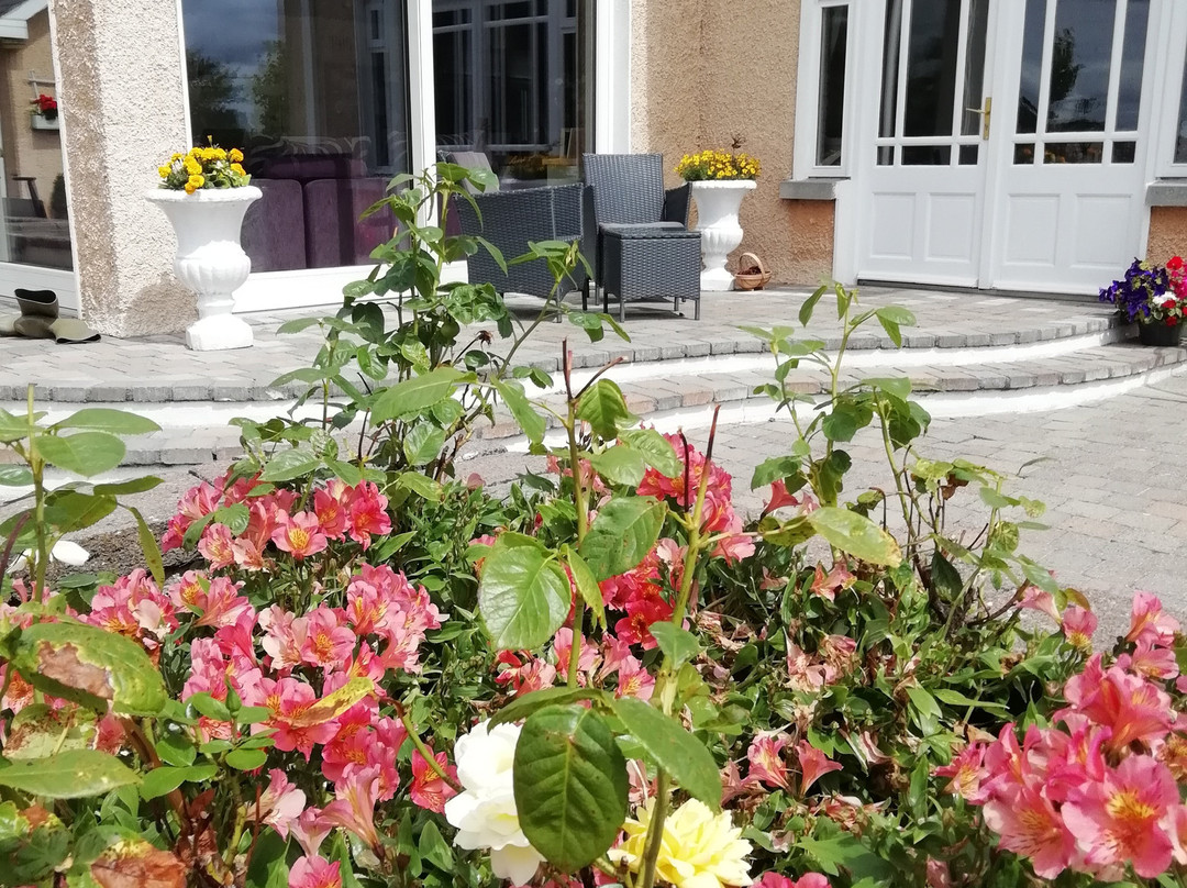 Tig na Coille B&B Country House主图