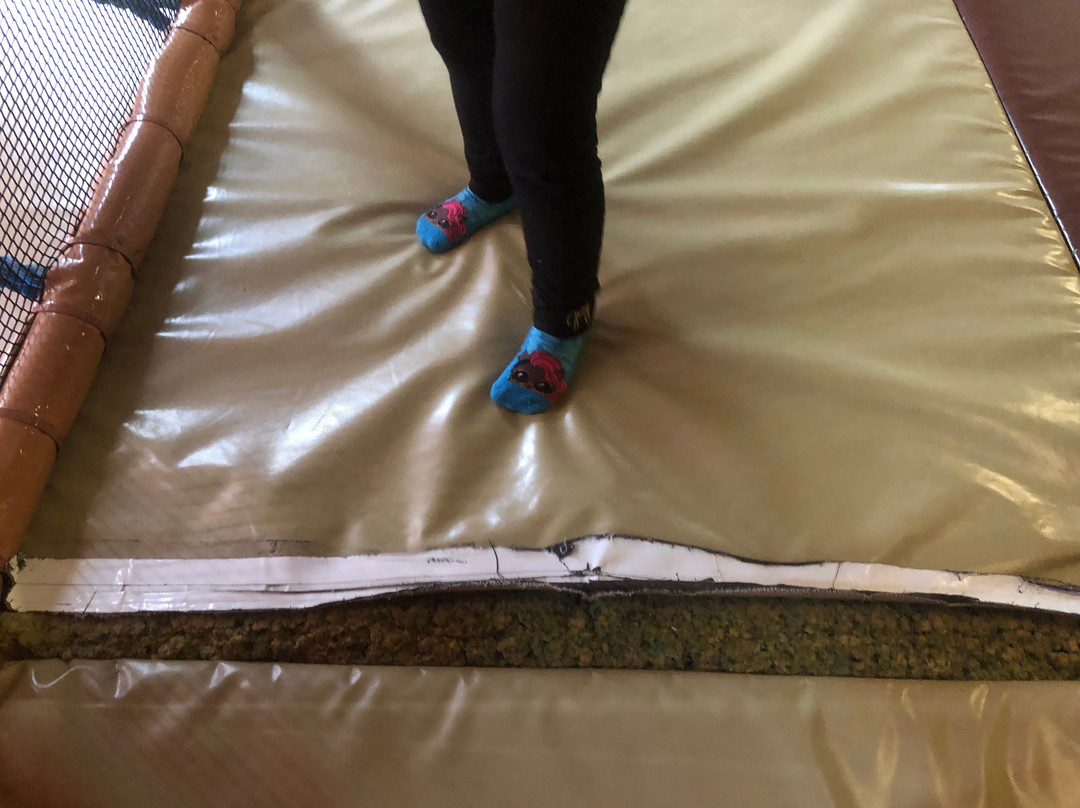 Dizzy Castle-温哥华必去景点