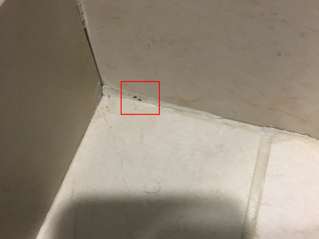 Hyatt Place Houston/Sugar Land主图