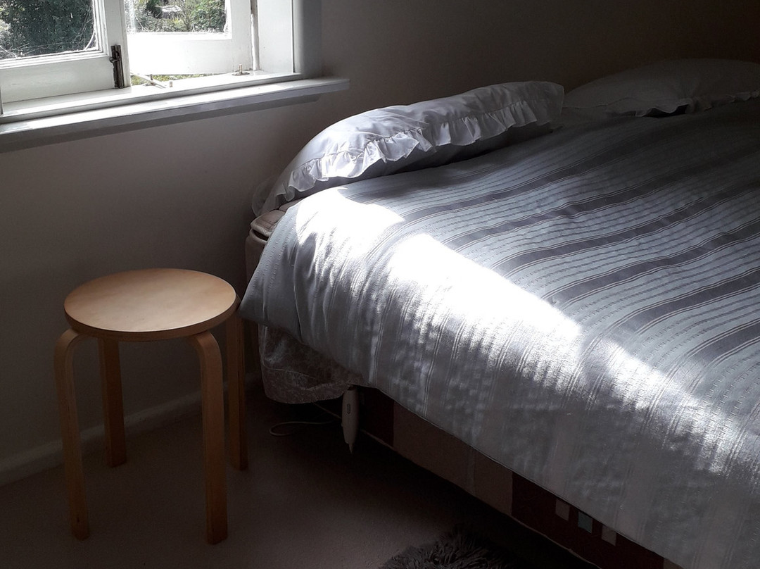 Western House Bed & Breakfast主图