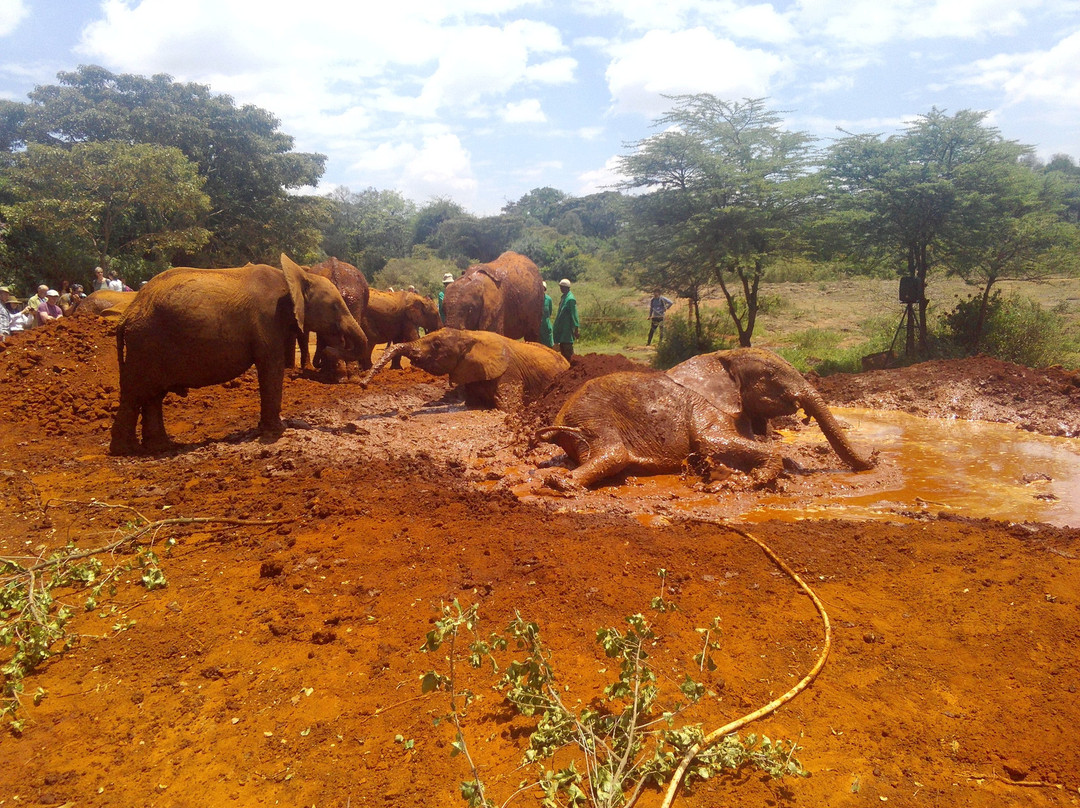 Visit Kibera Expeditions-内罗毕必去景点