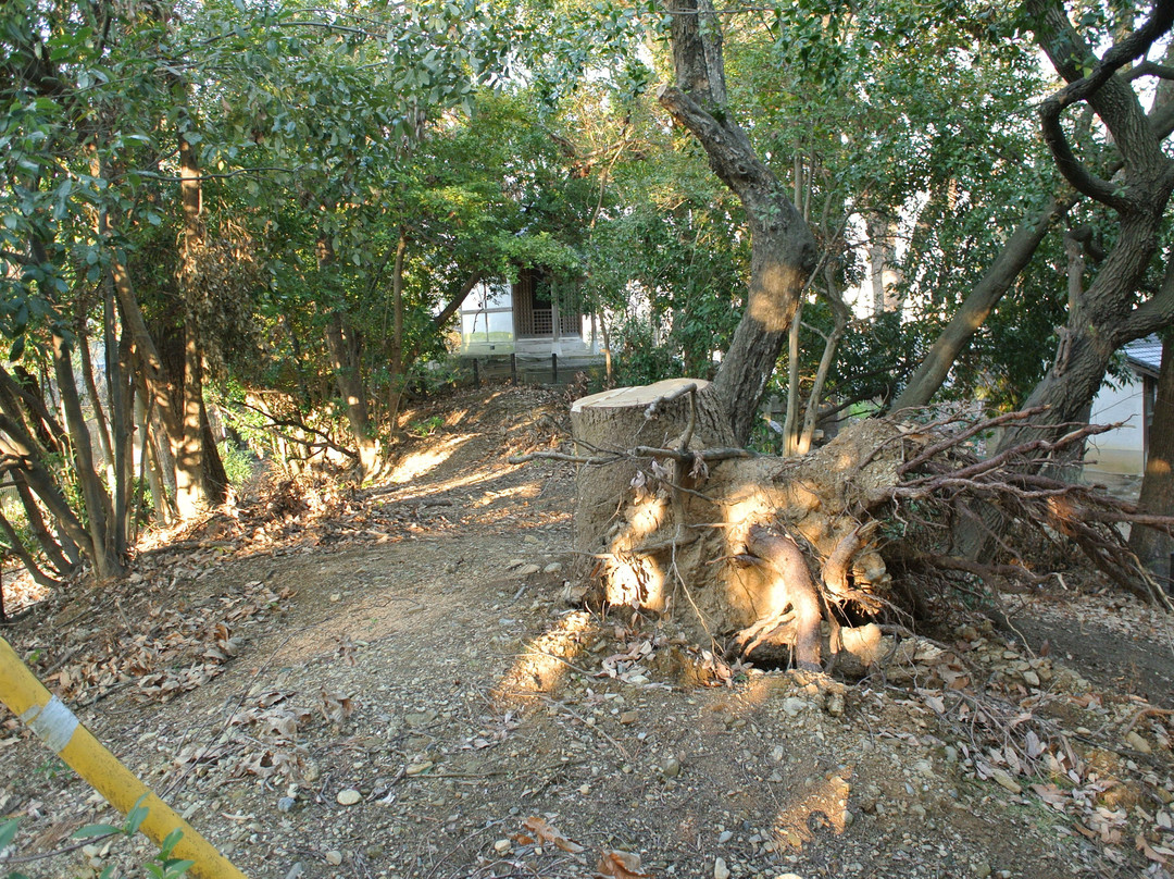 Kishi no Toride-伊丹市必去景点