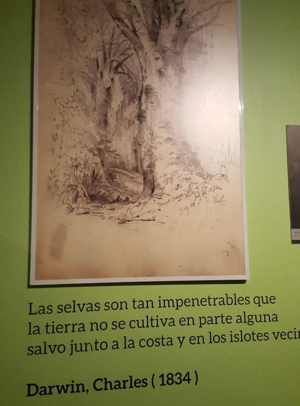 Museo Regional de Ancud景点图片