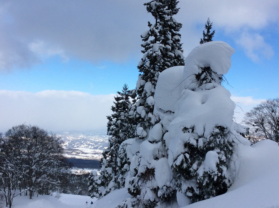 Akakura Onsen Ski Area景点图片