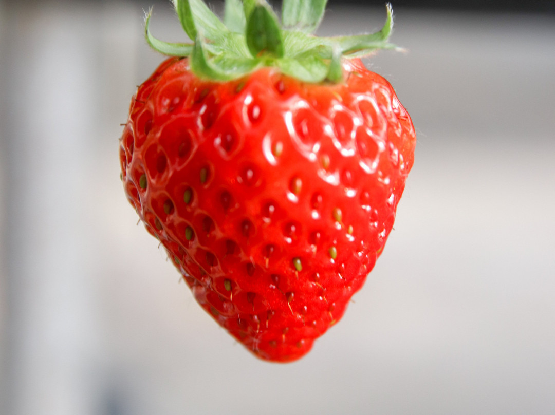 Hananoumi-山阳小野田市必去景点