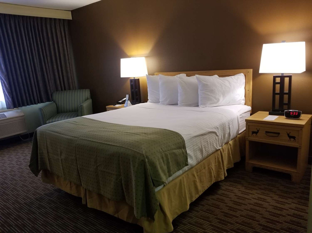 Best Western Dundee主图