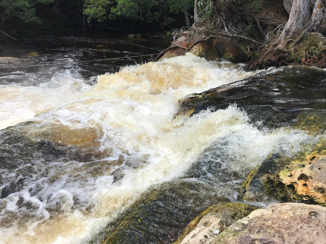Cachoeira Da Porteira-Presidente Figueiredo必去景点
