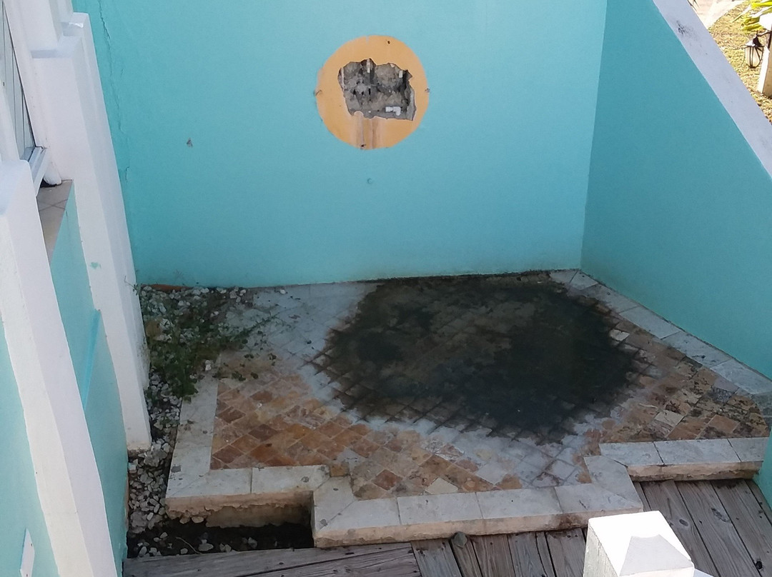 Bungalows on the Bay主图