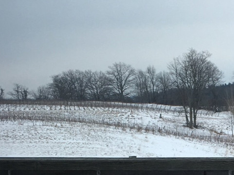 Villa Conti Oak Heights Estate Winery-Warkworth必去景点