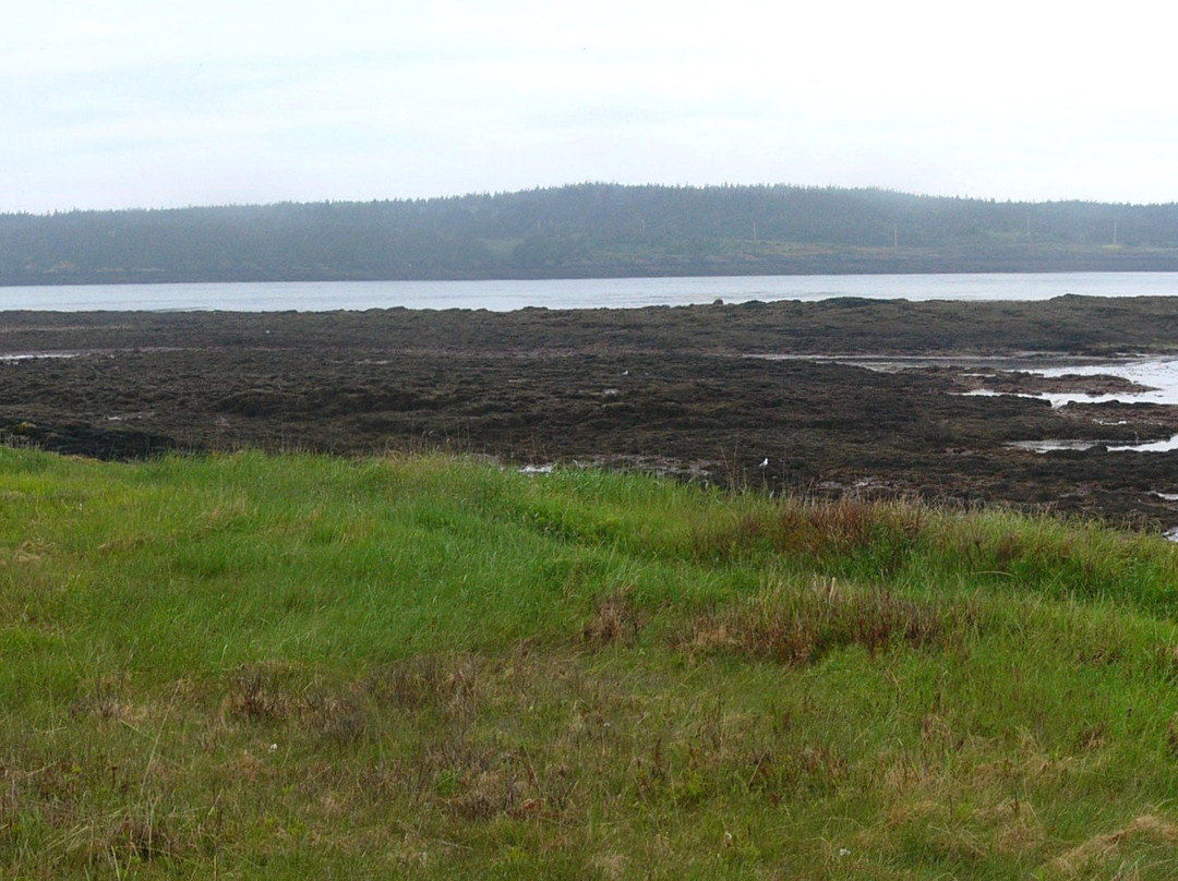 Fundy View Trail-Freeport必去景点