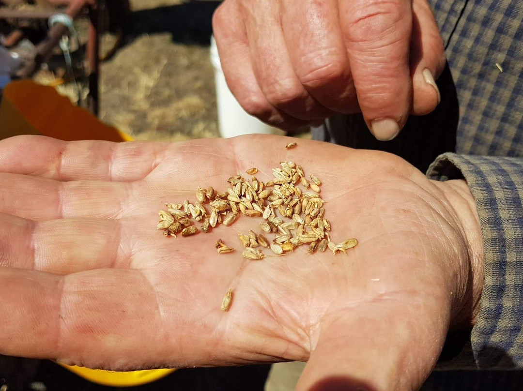 Belgrove Distillery-Kempton必去景点