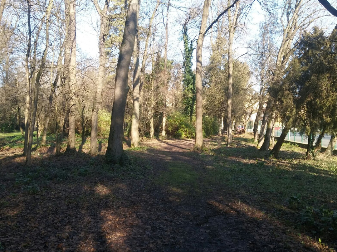 Parco Pubblico "M.A. Centanini"-Stanghella必去景点