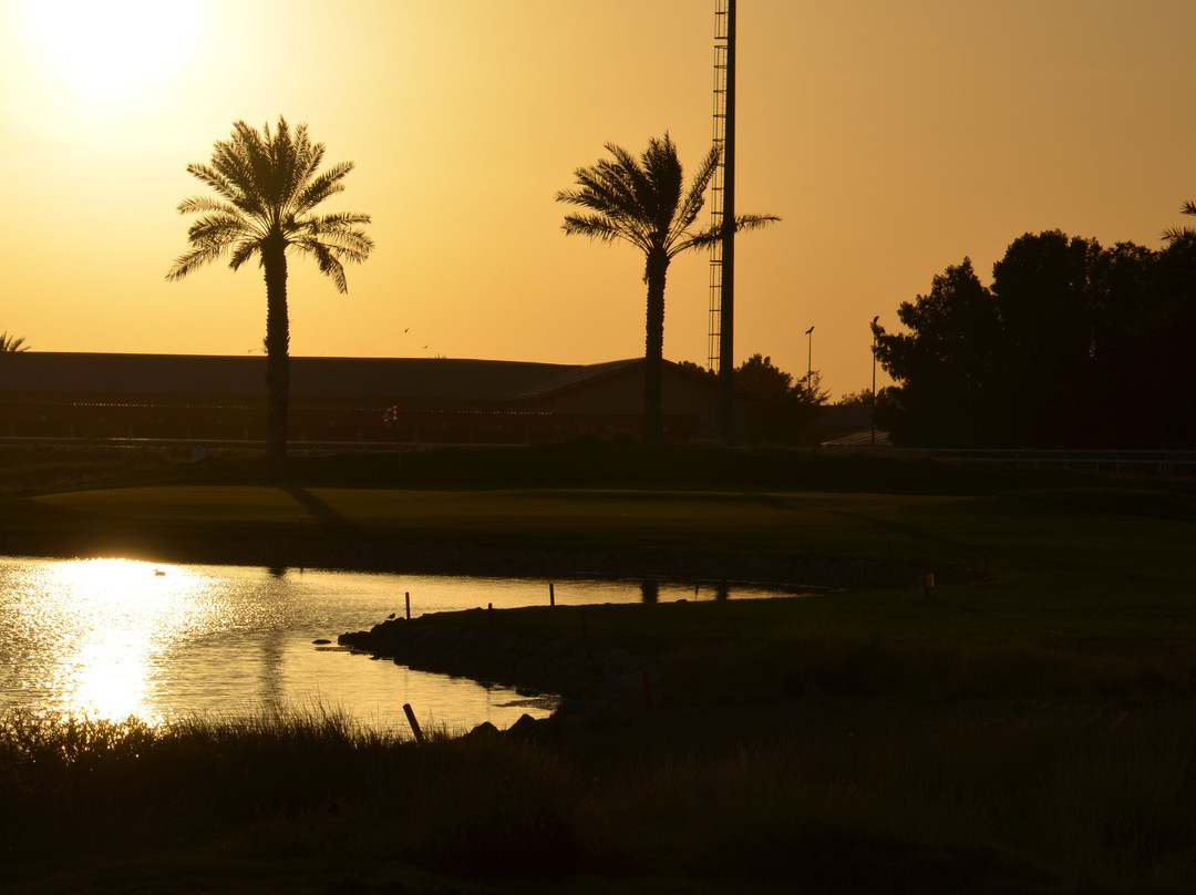 Al Ain Equestrian, Shooting & Golf Club景点图片