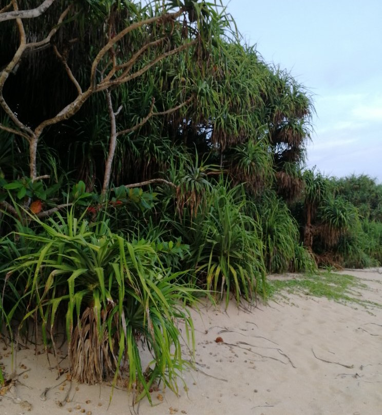 Mawella Beach-唐卡拉必去景点