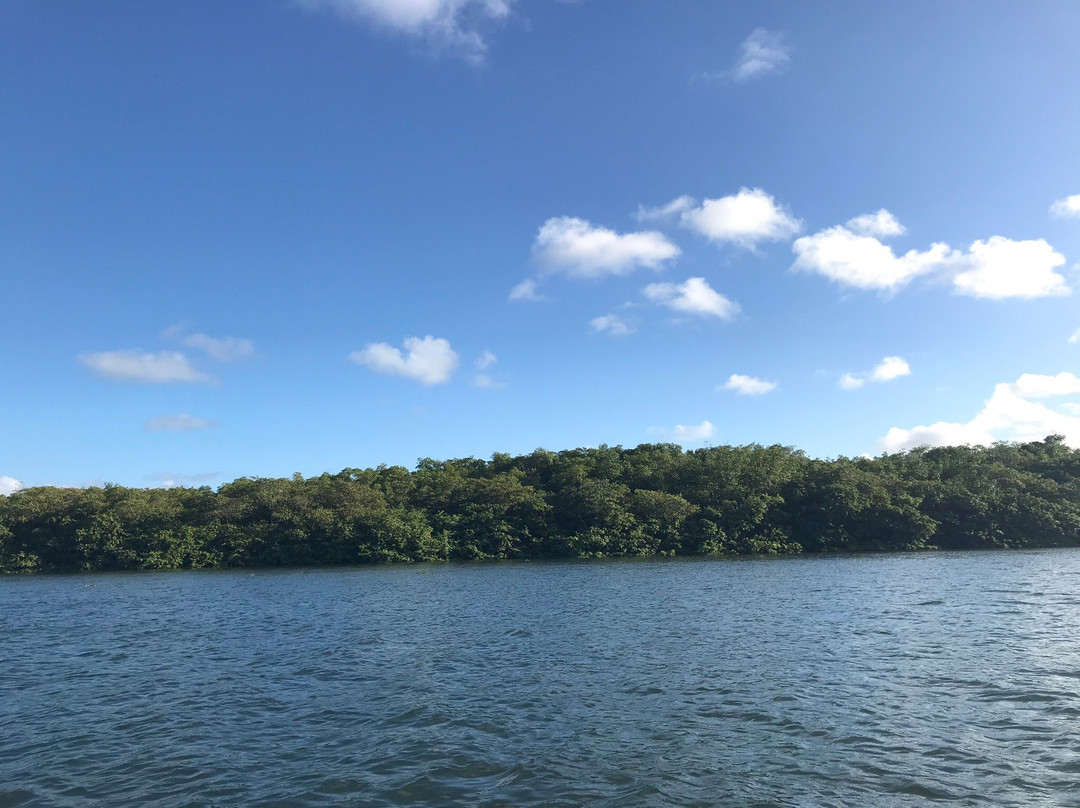 Manguaba River-Porto de Pedras必去景点