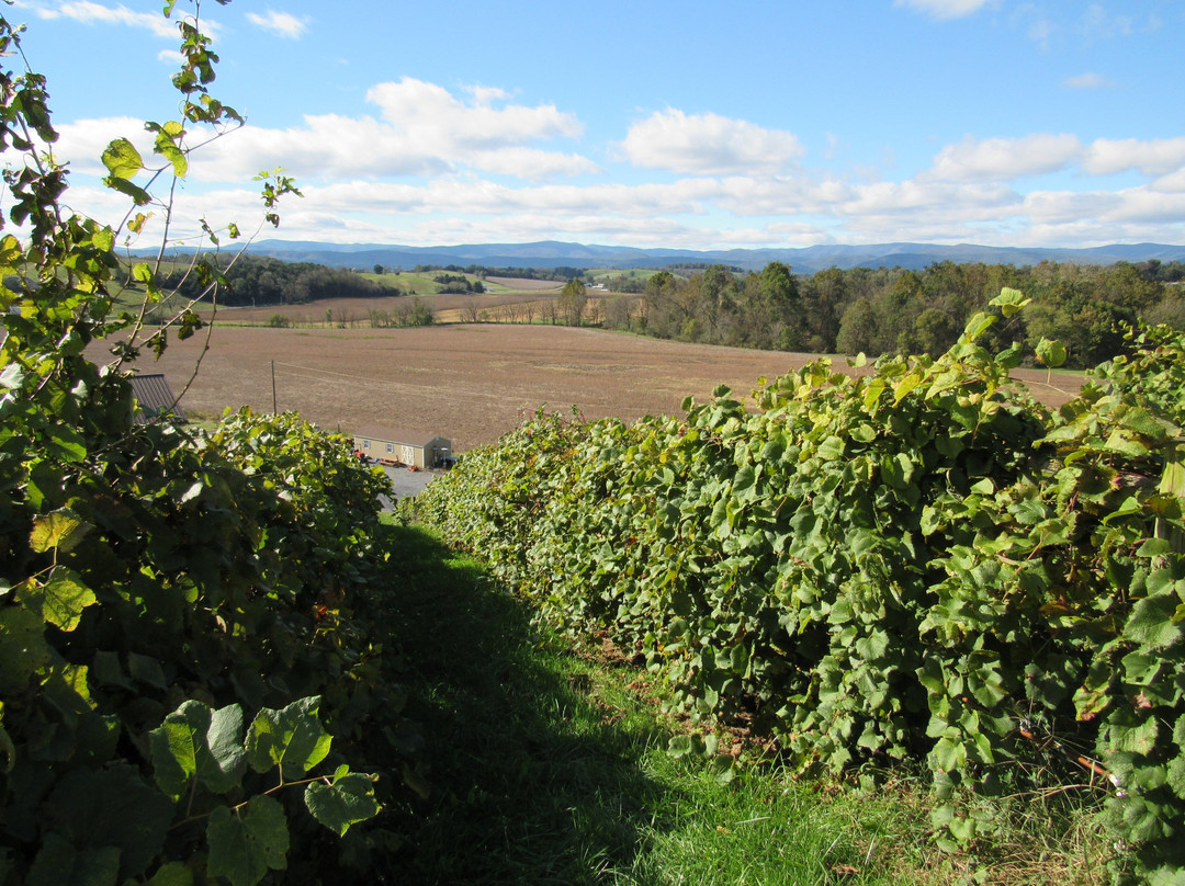 Bluestone Vineyard-Bridgewater必去景点