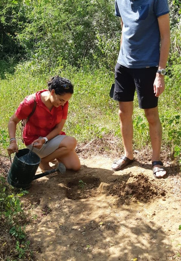 Leopard Safaris Yala主图