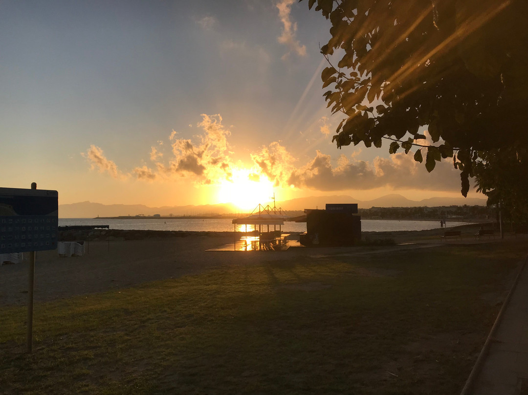 Platja de la Llosa景点图片